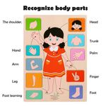 product_image_name-Generic-Body Parts Puzzle Matching Game Educational Human Body Structure Anatomy Puzzle Board-3