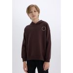 product_image_name-Defacto-Boy Hooded Oversize Fit Sweat Shirt - Brown-2