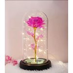 product_image_name-Generic-زهرة مضيئة تحت قبة زجاجية، ديكور منزلي، قاعدة سوداء، هدية رومانسية، سوق Kadu جالاكسي روز في قبة زجاجية هدية عيد ميلاد للنساء، الأم، الجدة، الزوجة، الذكرى السنوية، عيد الحب (وردي)-1