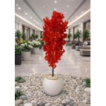 Made By Me Benjamina tree