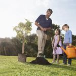 product_image_name-Generic-Tree Trunk Wrap Made of Jute Frost Protection Plant Protection Winter Protection Heat Protection Breathable Durable for Garden Fruit Trees Pot Plants Wintering-5