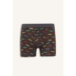 product_image_name-Defacto-Regular Fit Printed 3 Piece Boxers-4
