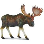 Moose