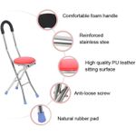 product_image_name-Generic-Foldable Padded Travel Chair With Walking Cane-5