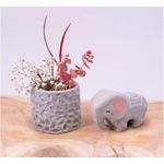 product_image_name-Jovi-عجينة طينية للتشكيل من جوفي - 250 جم، رمادي-4