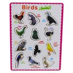 Generic Birds Matching Board