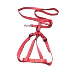 product_image_name-Generic-حزام صدرية بشدّادة وألوان زاهية للكلاب الصغيرة-1