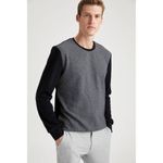 product_image_name-Defacto-Man Crew Neck Slim Fit Sweat Shirt - Black-3