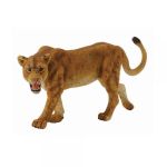 Lioness