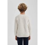 product_image_name-Defacto-بلوفر دي فاكتو للأطفال بياقة دائرية محبوك-6