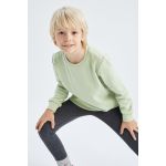 product_image_name-Defacto-Boy Crew Neck Regular Fit Sweat Shirt - Lt.Green-1