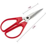 product_image_name-Generic-مقص منزلي -4