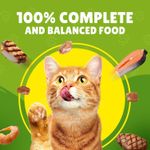 product_image_name-Generic-طعام مجفف بالدجاج في المرق للقطط-2