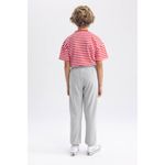 product_image_name-Defacto-Boy Regular Fit Trousers - Grey Melange-3