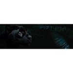 product_image_name-Areon-Car Air Freshener black panther wild-2