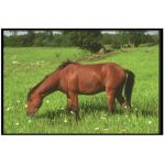 لوحة مناظر طبيعية للخيول 30 سم × 20 سم