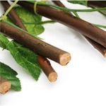 product_image_name-Generic-TWZ - Artificial Wall Plant - 70 cm * 2M-2