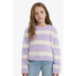 product_image_name-Defacto-Girl Crew Neck Regular Fit Pullover - Lilac-1