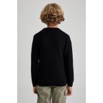 product_image_name-Defacto-Boy Crew Neck Knitted Pullover-7