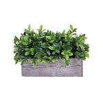 زرع صناعي في حوض خشبي