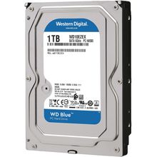 اشتري WD Blue 1TB Desktop Hard Disk Drive في مصر