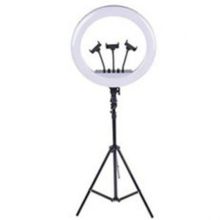 Buy Ring Light Size 36 Cm +three-legged Metal Stand 210 Cm in Egypt