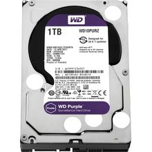 Buy Western Digital WD10PURZ - 1TB Purple Surveillance Hard Disk Drive in Egypt