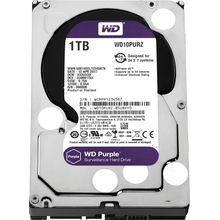 اشتري Western Digital WD10PURZ - 1TB Purple Surveillance Hard Disk Drive في مصر