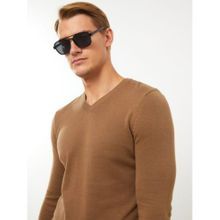 Buy LC Waikiki V Neck Long Sleeve Men's Knitwear Sweater in Egypt