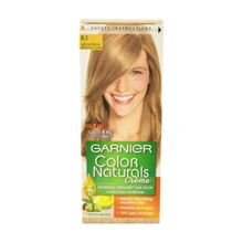 اشتري Garnier Color Naturals Permanent Crème Hair Color - 8.1 Light Ash Blonde في مصر