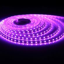 Buy Rope Purple Light Led Strip  Single - Waterproof in Egypt
