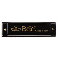 Buy Professional Harmonica C Major 10 Holes 20 Tunes Blues Deluxe Black in Egypt