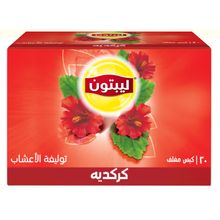 اشتري Lipton Lipton Infusion Herbal Infusion Tea, Natural Taste free of caffeine, Hibiscus, Moment to refresh, 20 Tea bags في مصر