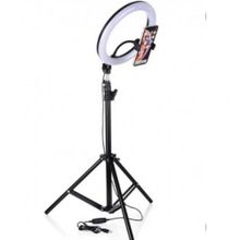 Buy Ring Light - 26 CM + Metal Stand - 210 Cm - White / Black in Egypt