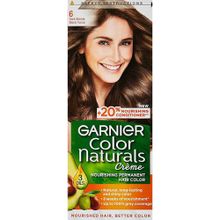 اشتري Garnier Color Naturals Permanent Crème Hair Color - 6 Dark Blonde في مصر