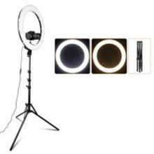 Buy Selfie Light Ring With 16" Mirror -  38cm With Bag + Stand - 210cm in Egypt