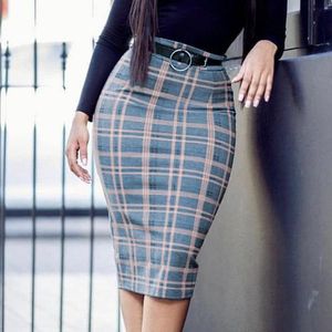 pencil skirt egypt