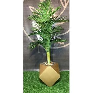 tree Leather Paper Palm 160 Cm In A Golden Wooden Boot