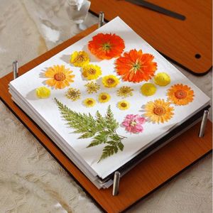 Real Pressed Flower, Real dried flowers, Resin DIY, Art Epoxy Mold  Fillings, Jewelry Making, Card Making, Scrapbook, Bookmark, Candle