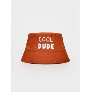 LC Waikiki Baby Boy’S Figured Hat