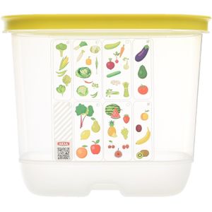 AKSA Plastic Rectangular Veggie Container, 2 Liter Capacity, Clear