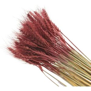 Fancy FLOWERS حزمة زهور القمح الجاف الأنيقة باقة من حزم العشب المحافظ الطبيعي زهور دائمة للمنزل والمطبخ والكنيسة وطاولة العرس وتزيين الزهور (25، تشيري وود)