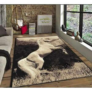 Line Sleep Carpet Protector 160*250 cm