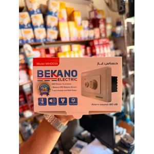 Gas leak detector with alarm to protect your child