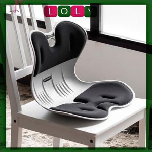 Heavy Duty Ergonomic Chair with Backs and Lumbar Support, Posture Correction Cushion for Lower Back Pain, Fabric Cushions, Compact Seat for Home, Office, and Car 