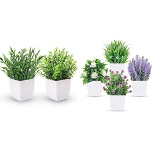 باقة الورود المكونة من نبتتين كبيرتين وأربع نباتات كبيرة مختلفة لتزيين المنزل، والديكورات الداخلية، والمكتب، والشرفة، والمسكن.