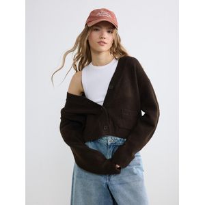 LC Waikiki V Neck Women's Knitwear Cardigan