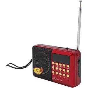 Portable FM Radio with Bluetooth and MP3 Player - USB Flash and TF Card Support with Built in Stereo Speaker and Clear Signal Reception - Compact Travel Radio for Daily Listening
