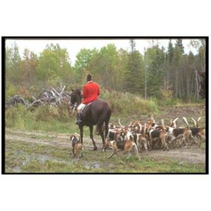 تابلوه المناظر الطبيعية للخيول 30 سم × 20 سم