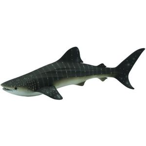 Whale Shark
